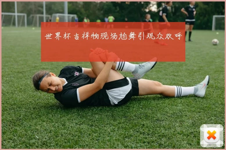 世界杯吉祥物现场尬舞引观众欢呼