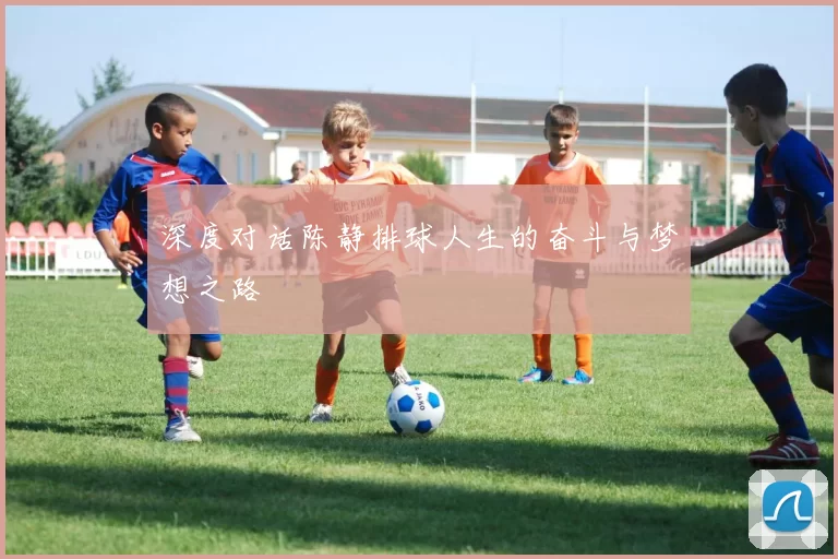 深度对话陈静排球人生的奋斗与梦想之路