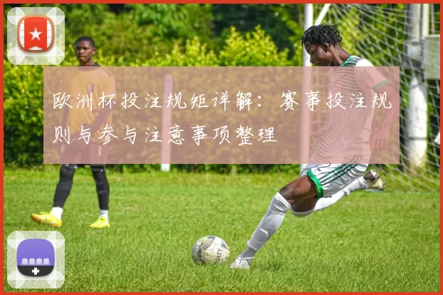 欧洲杯投注规矩详解：赛事投注规则与参与注意事项整理