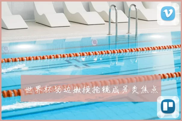 世界杯场边嫩模抢镜成另类焦点