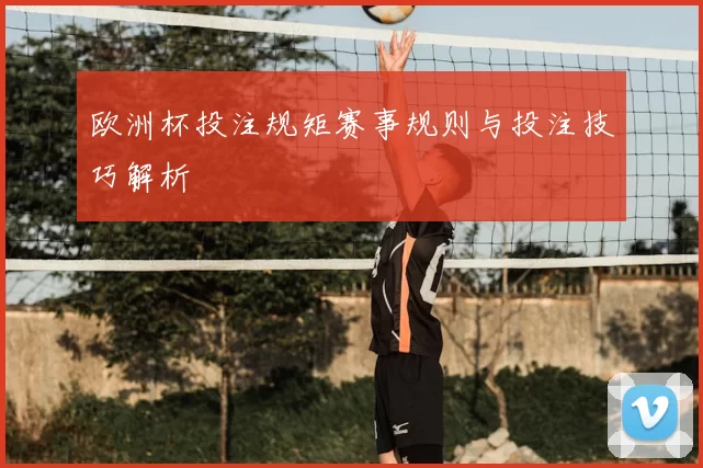 欧洲杯投注规矩赛事规则与投注技巧解析