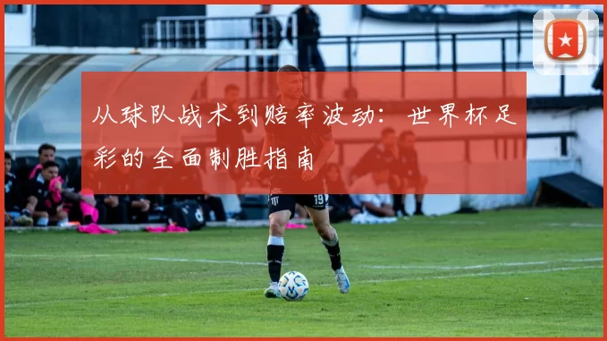 从球队战术到赔率波动:世界杯足彩的全面制胜指南