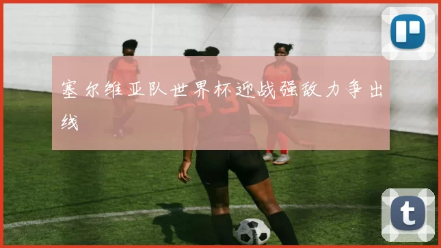 塞尔维亚队世界杯迎战强敌力争出线