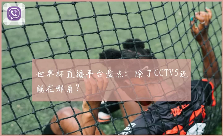 世界杯直播平台盘点:除了CCTV5还能在哪看?