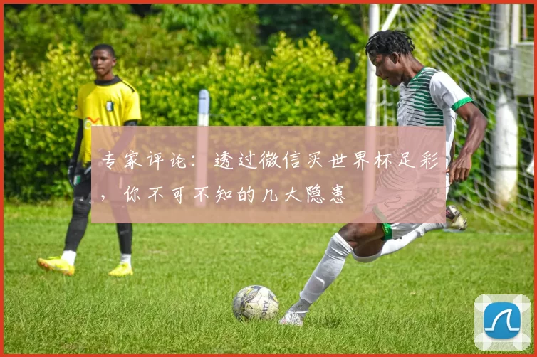 专家评论:透过微信买世界杯足彩,你不可不知的几大隐患