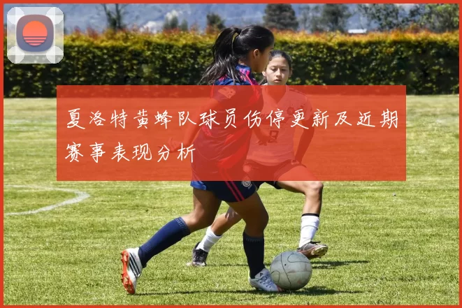 夏洛特黄蜂队球员伤停更新及近期赛事表现分析