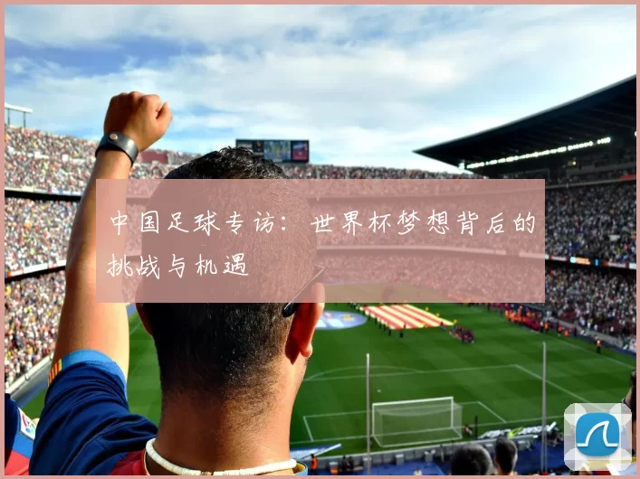 中国足球专访：世界杯梦想背后的挑战与机遇