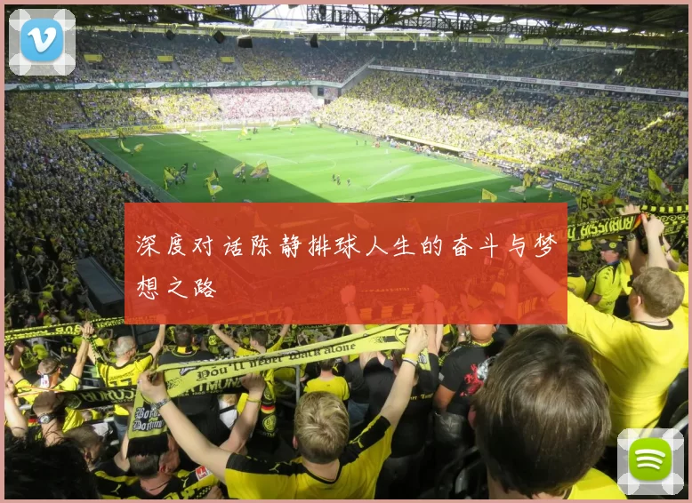 深度对话陈静排球人生的奋斗与梦想之路