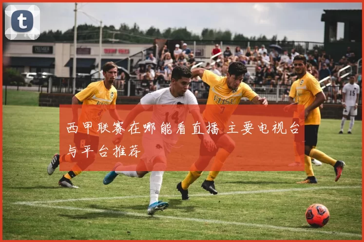 西甲联赛在哪能看直播 主要电视台与平台推荐