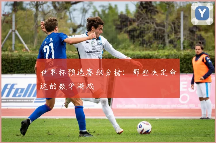 世界杯预选赛积分榜：那些决定命运的数学游戏
