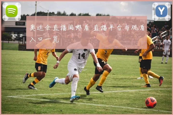 奥运会直播间哪看 直播平台与观看入口一览