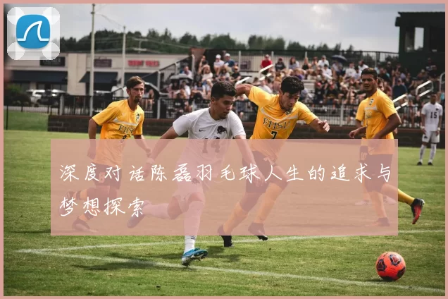 深度对话陈磊羽毛球人生的追求与梦想探索