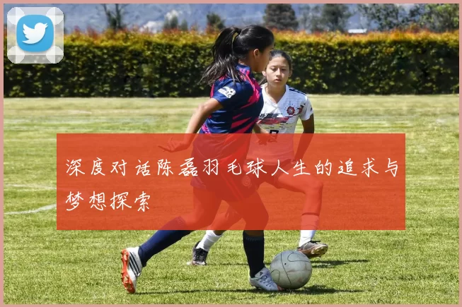 深度对话陈磊羽毛球人生的追求与梦想探索