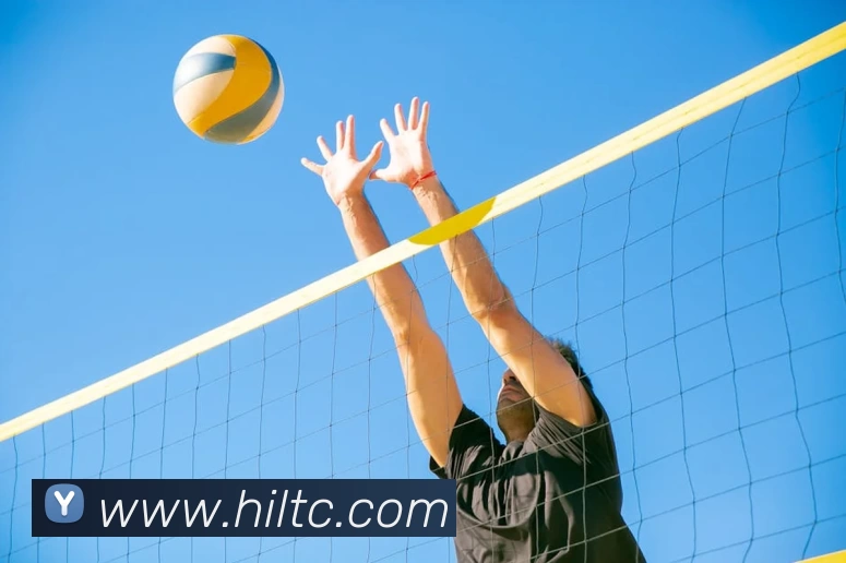 App Interface Preview