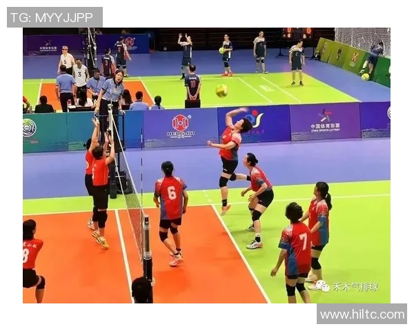 深入探讨上海篮球队区域防守战术与执行效果的全面分析