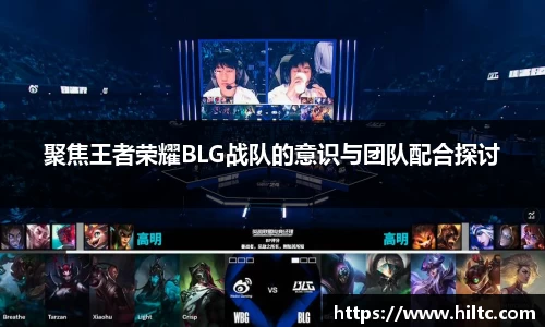 聚焦王者荣耀BLG战队的意识与团队配合探讨