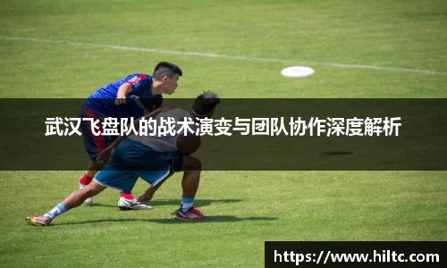 武汉飞盘队的战术演变与团队协作深度解析