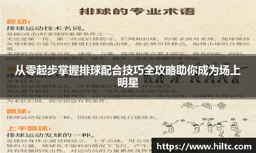从零起步掌握排球配合技巧全攻略助你成为场上明星